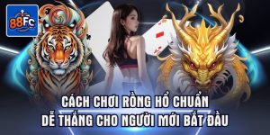 Cách chơi rồng hổ chuẩn dễ cho người mới bắt đầu