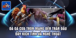 Đá gà cựa tròn mang đến trận đấu đầy kịch tính và nghệ thuật