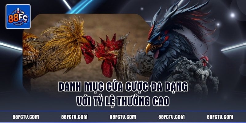 Danh mục cửa cược đa dạng với tỷ lệ thưởng cao