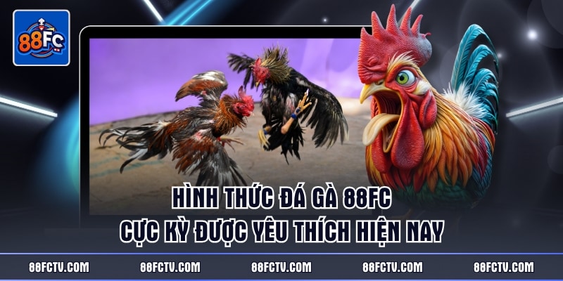Hình thức đá gà 88FC cực kỳ được yêu thích hiện nay