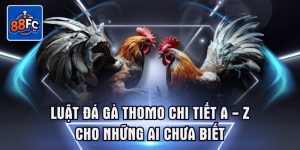 Luật đá gà thomo chi tiết a-z cho những ai chưa biết