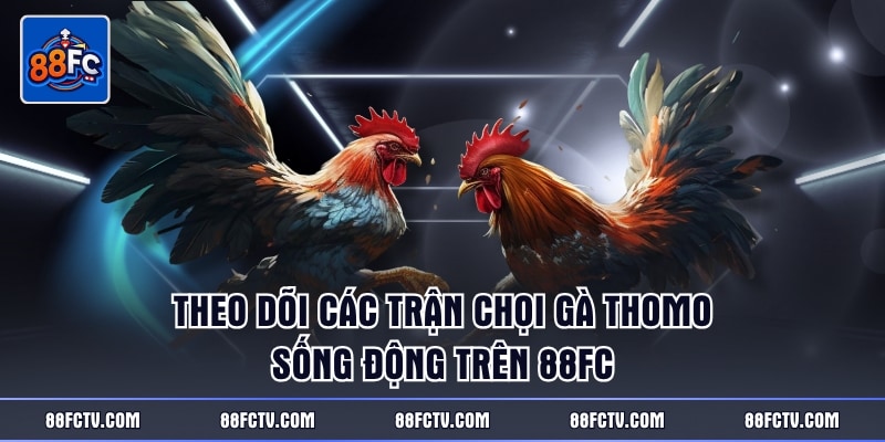 Theo dõi các trận chọi gà Thomo sống động trên 88FC